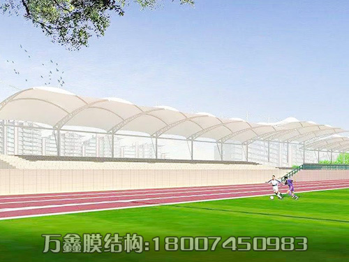 體育場所膜結構